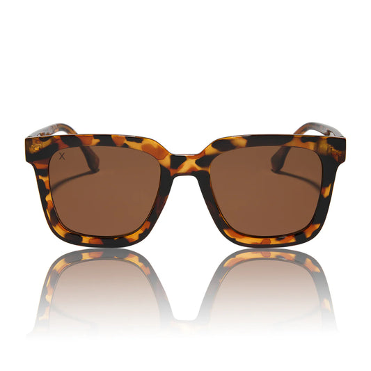 Malibu Tortoise & Brown Sunglasses