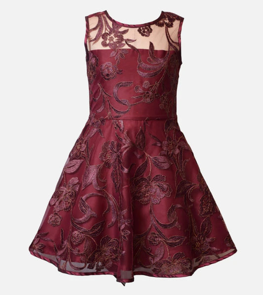 Andrea Embroidered Party Dress