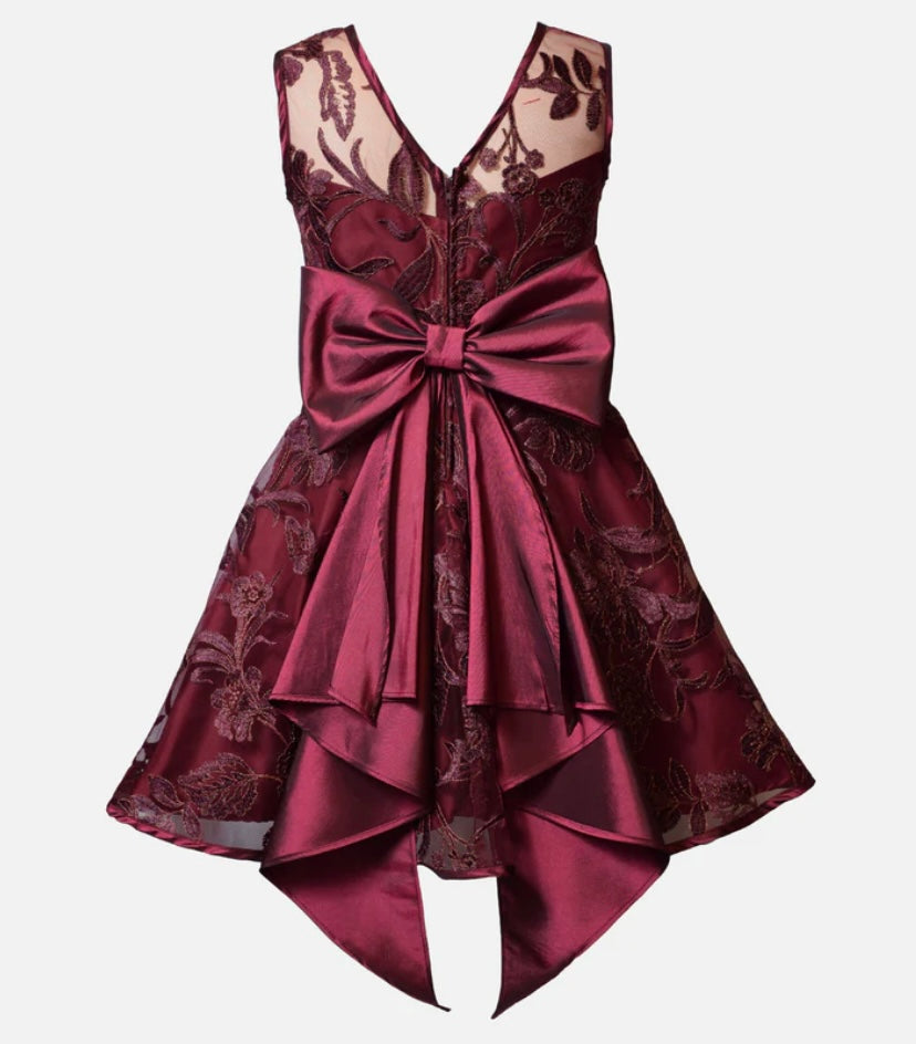 Andrea Embroidered Party Dress
