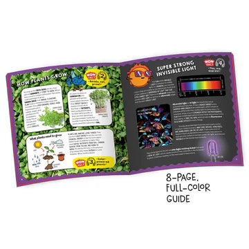 Wow in the World: Light-Up Terrarium