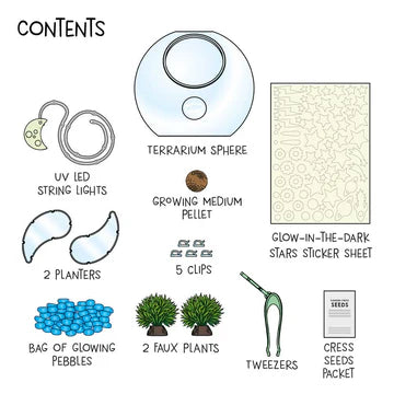 Wow in the World: Light-Up Terrarium