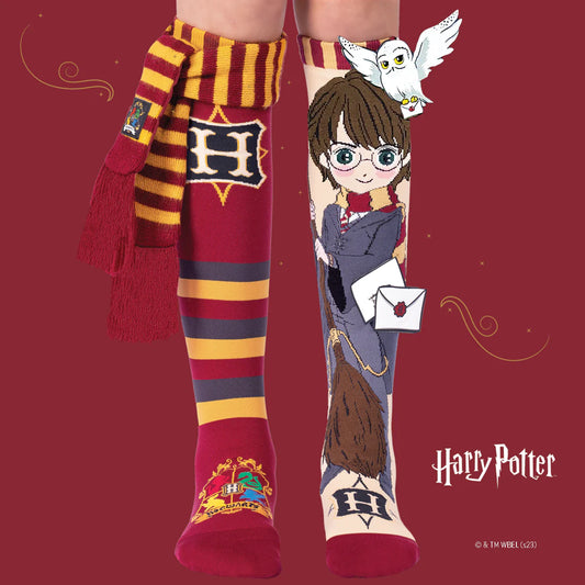 Harry Potter Crazy Socks