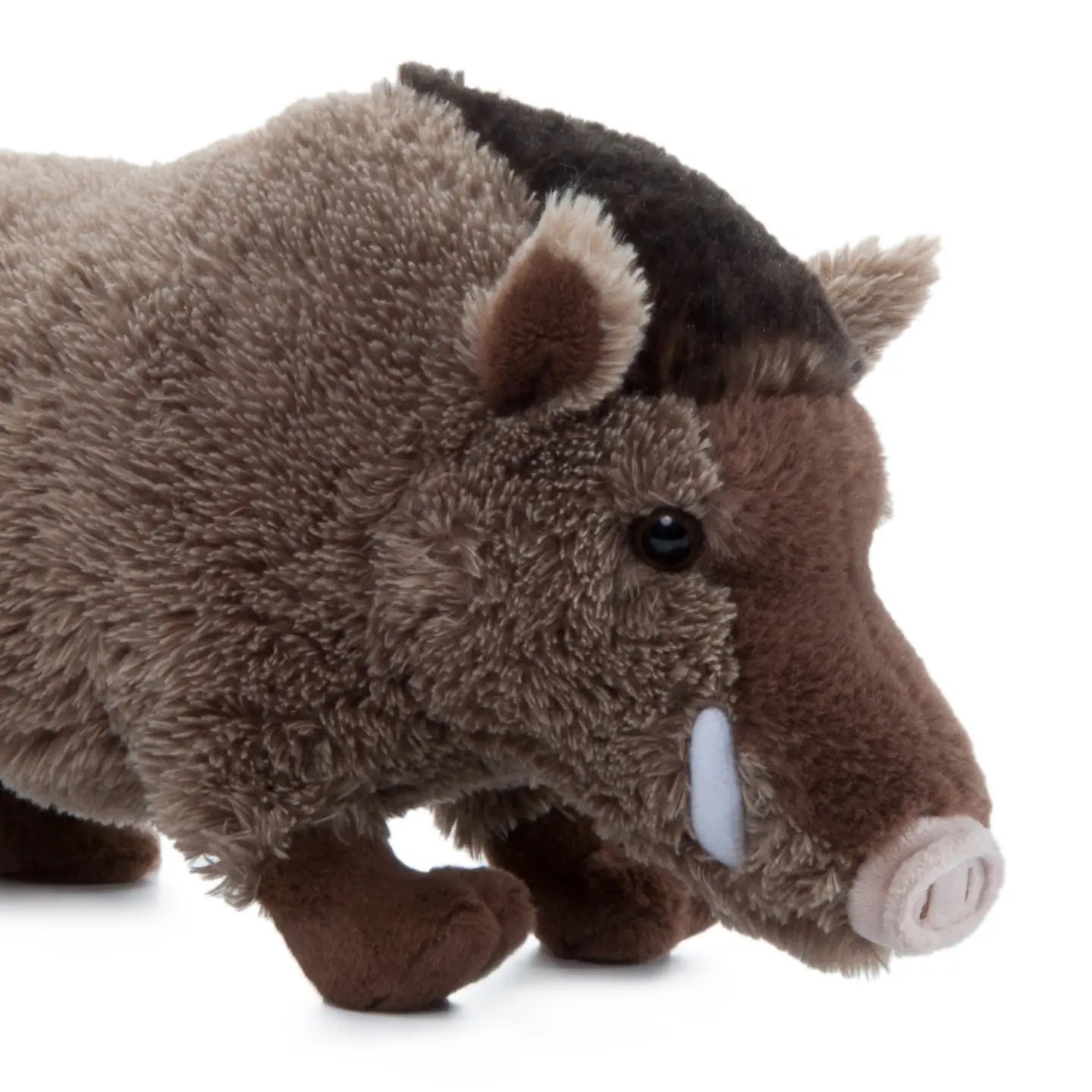 Wild Ones Boar