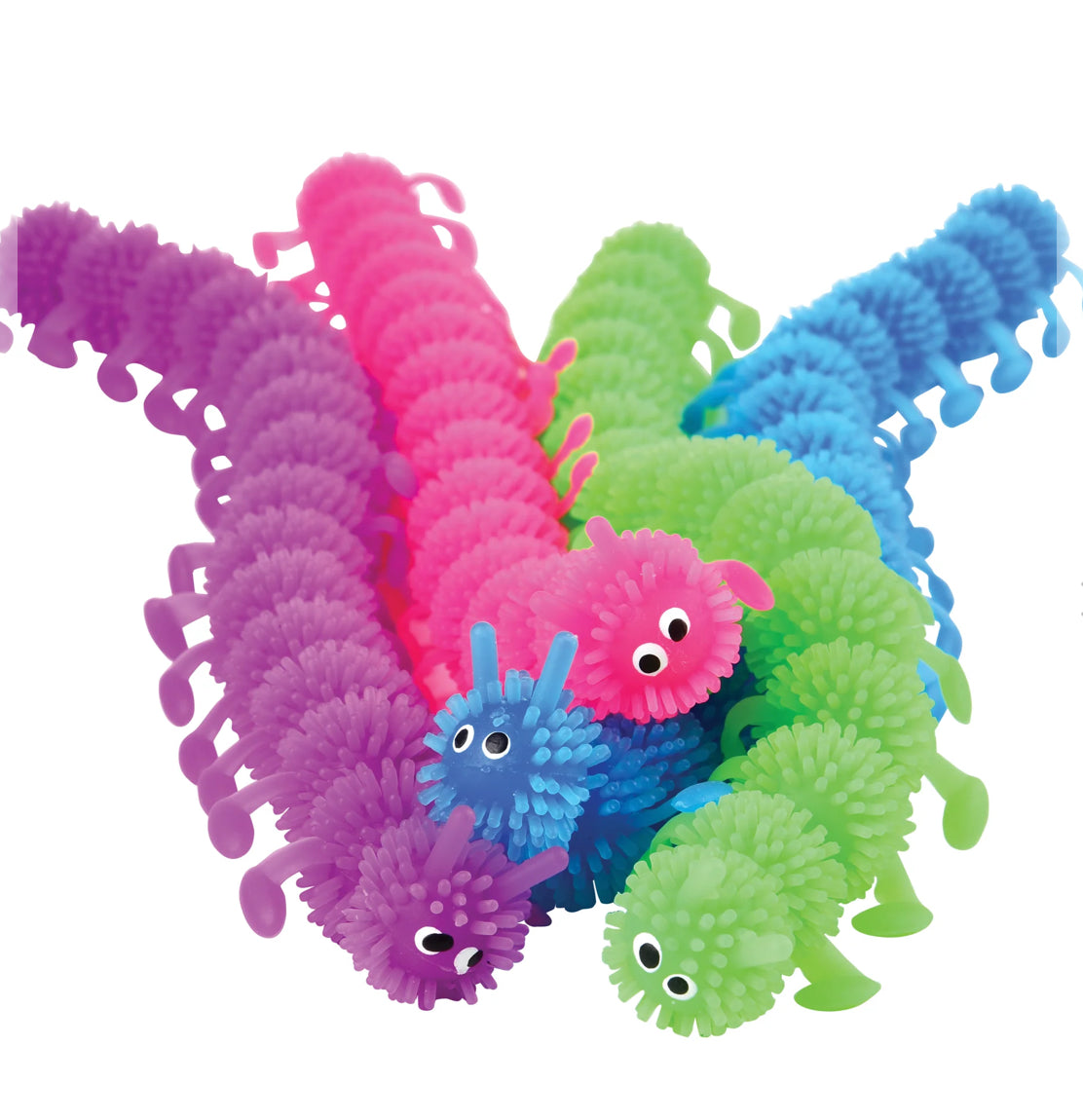 Colorful Centipedes