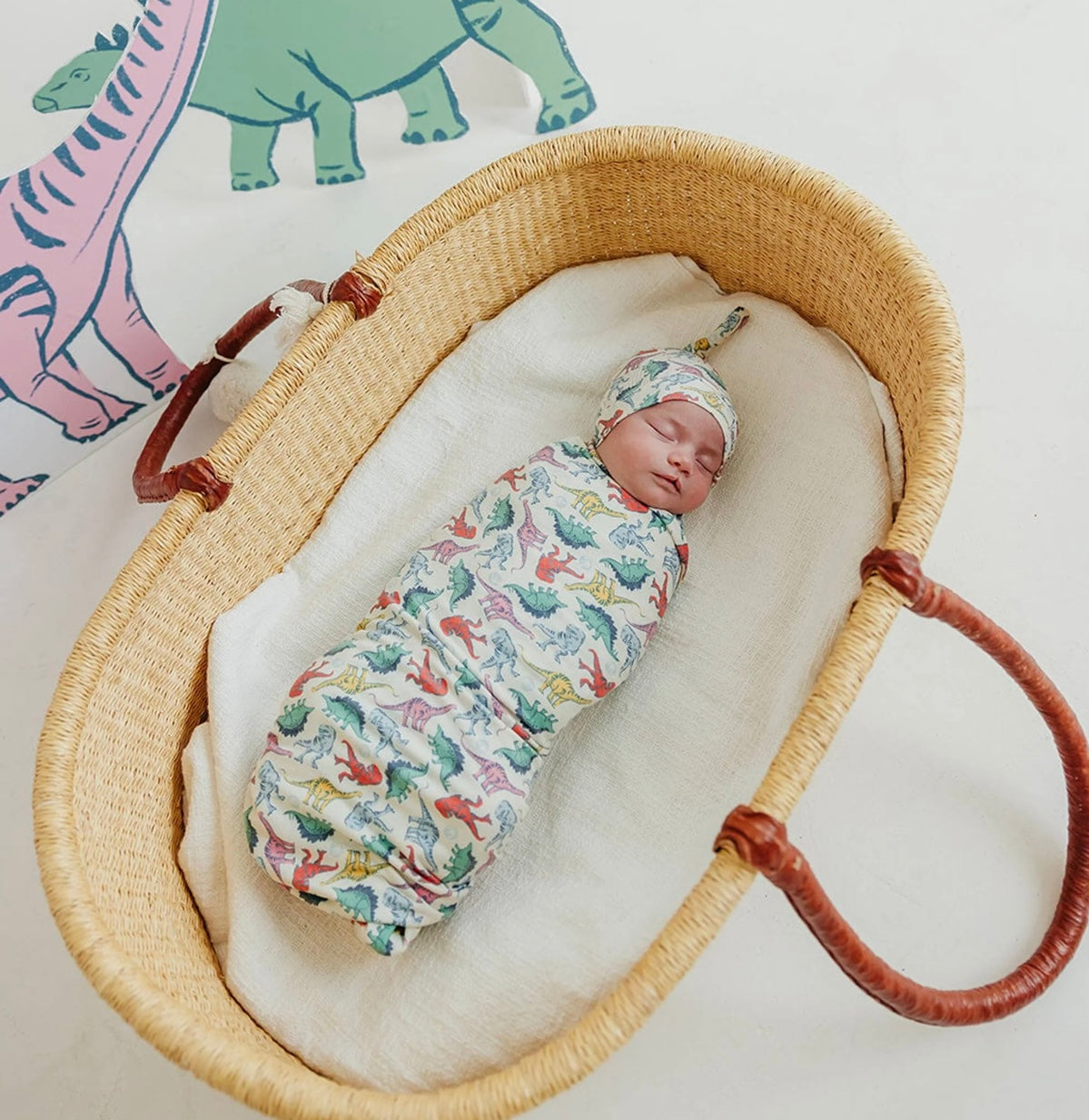 Dinosaurs of Jurassic Park Knit Swaddle Blanket