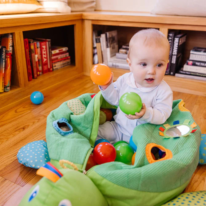 Turtle Ball Pit