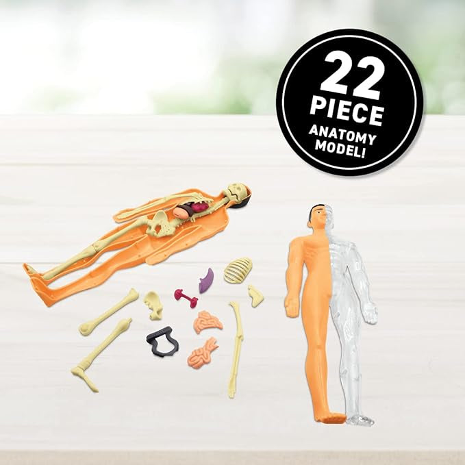 Virtual Reality Human Body