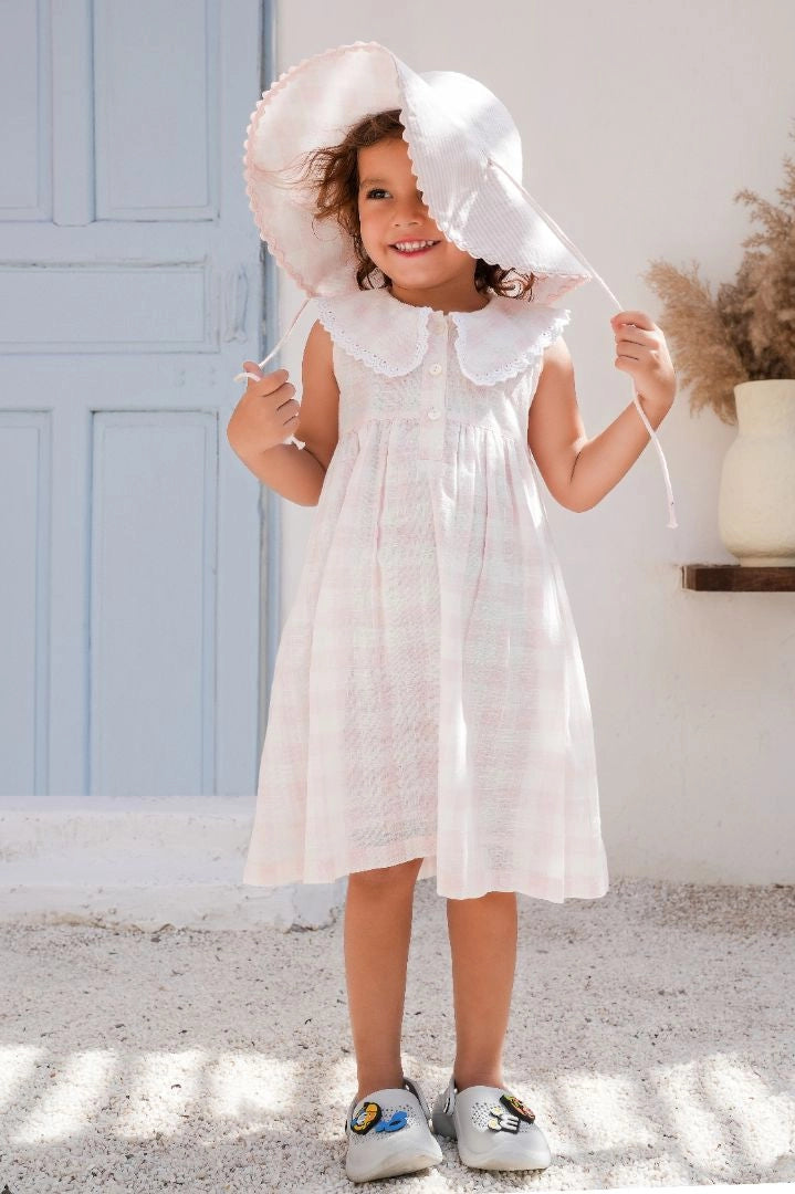 Collars Check Dress
