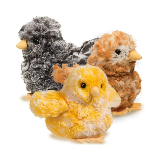 Assortment Multi Chick