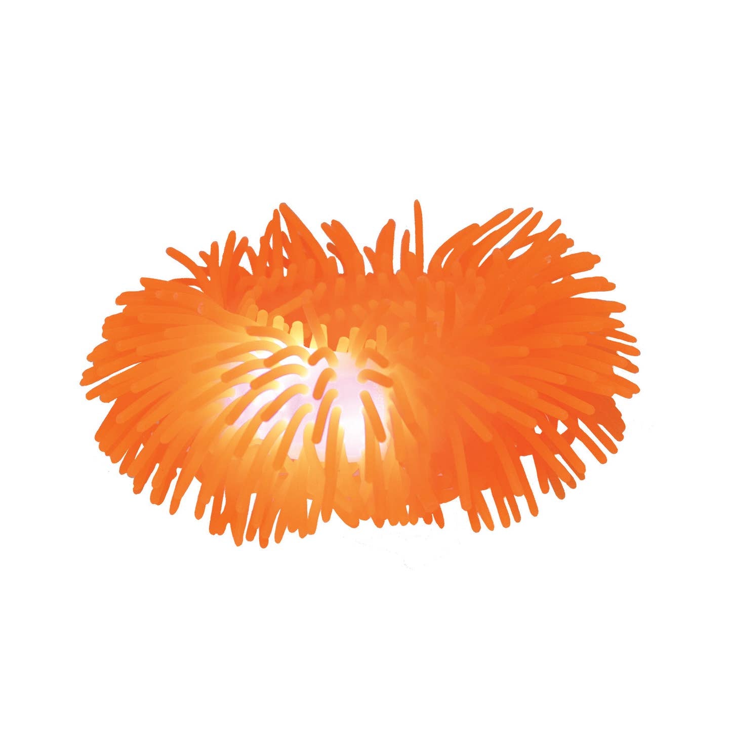 Orb Curiosities Jiggly Bracelet Light Up!