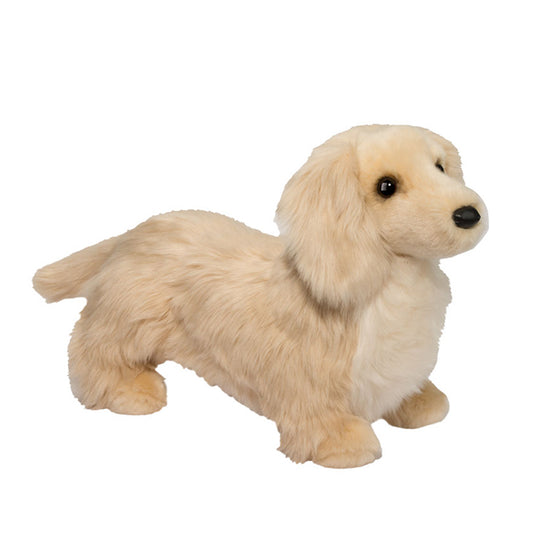 Haisley Golden Dachshund