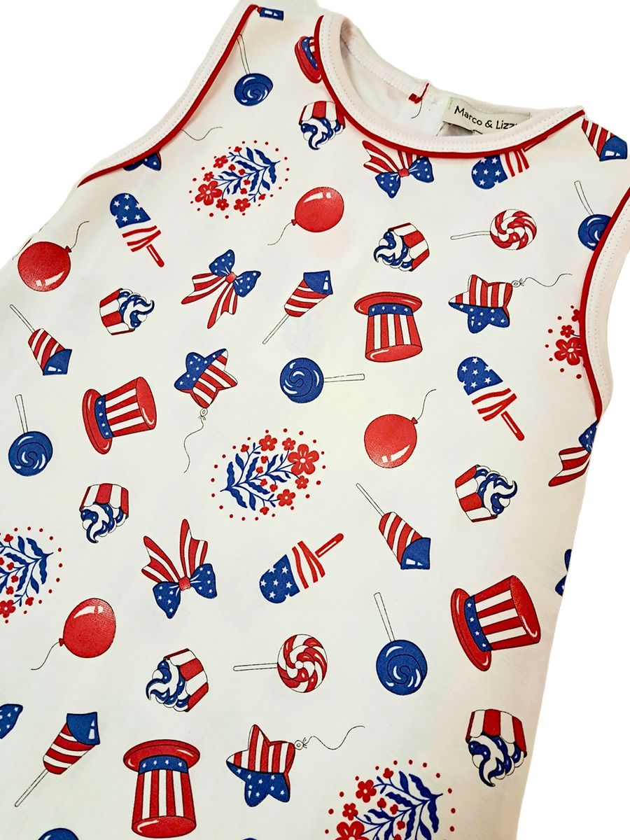 Patriotic A Line Dress
