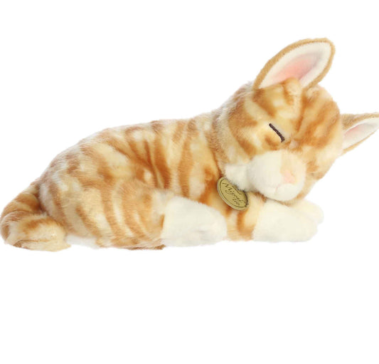 10" Orange Sleepy Tabby Kitten