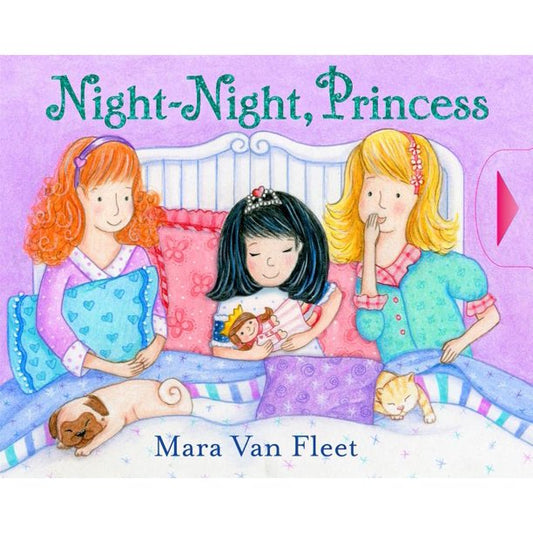 Night-Night, Princess Book
