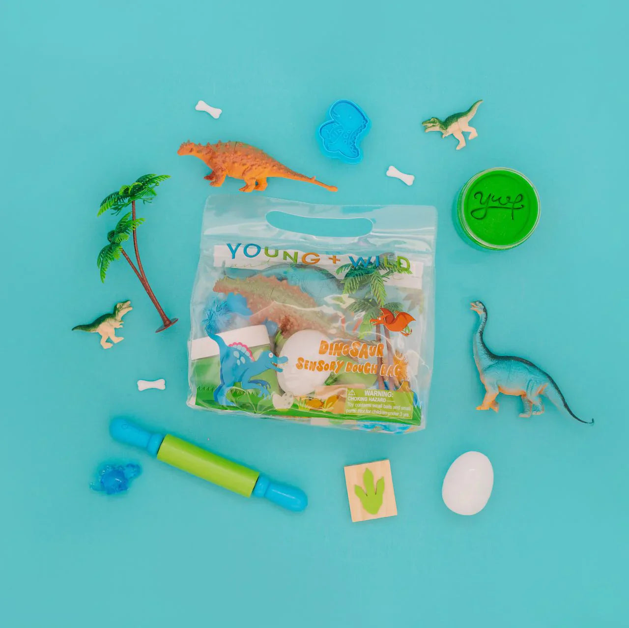 Sensory Dough Bag | Dinosaur