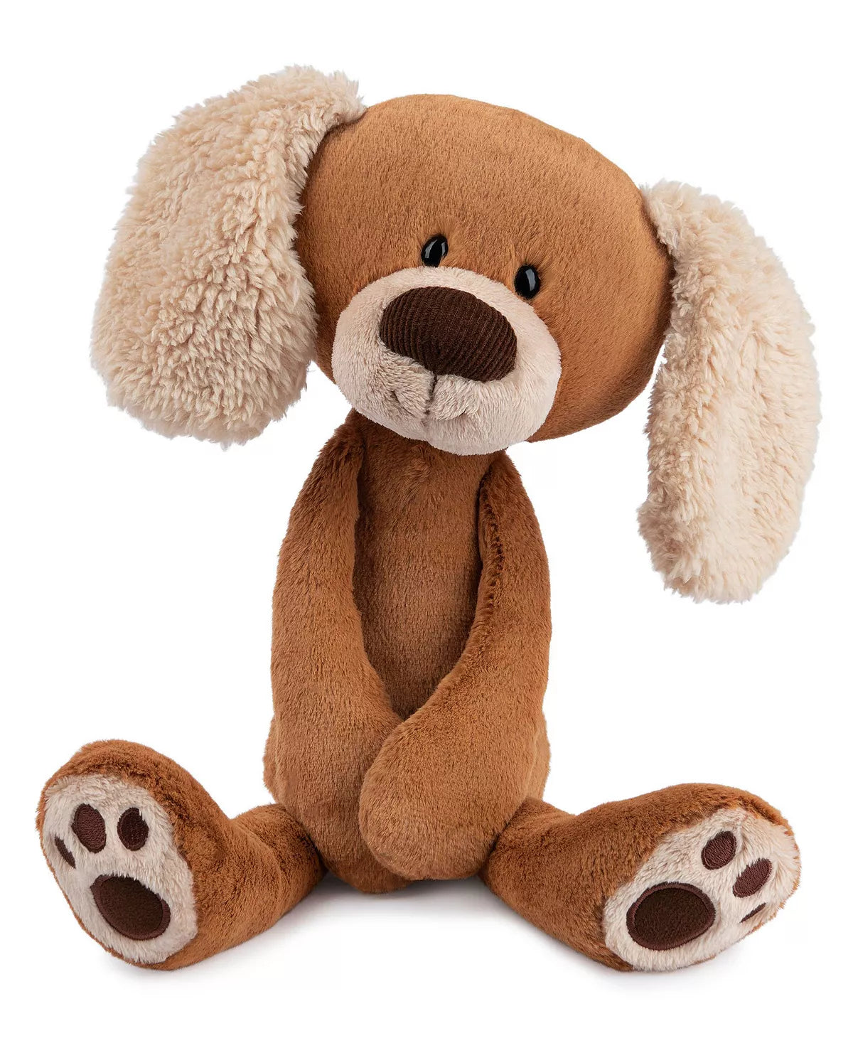 Masi The Puppy