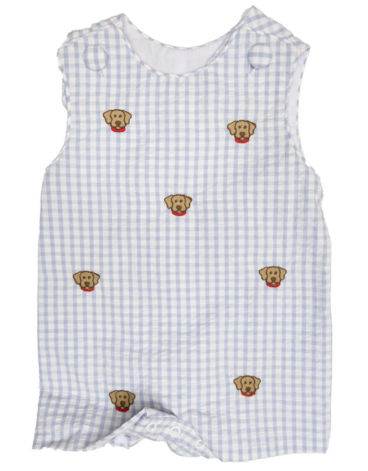 Labrador Ashton Shortall