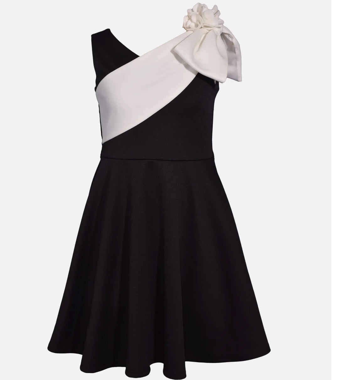 Natalie Skater Sash Dress