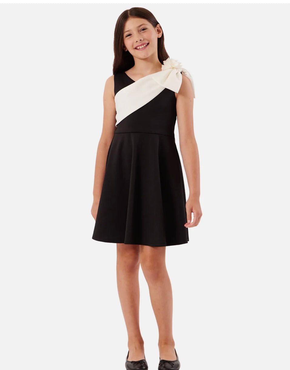 Natalie Skater Sash Dress