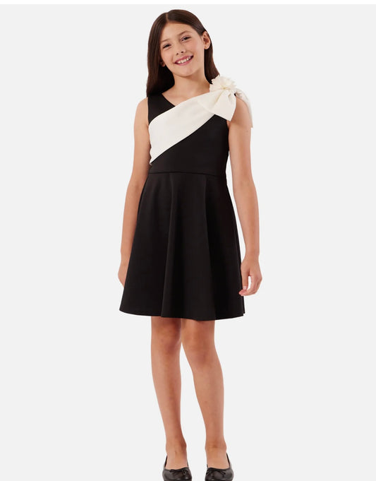 Natalie Skater Sash Dress