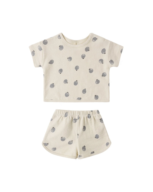 Blueberries Spongy Play Set