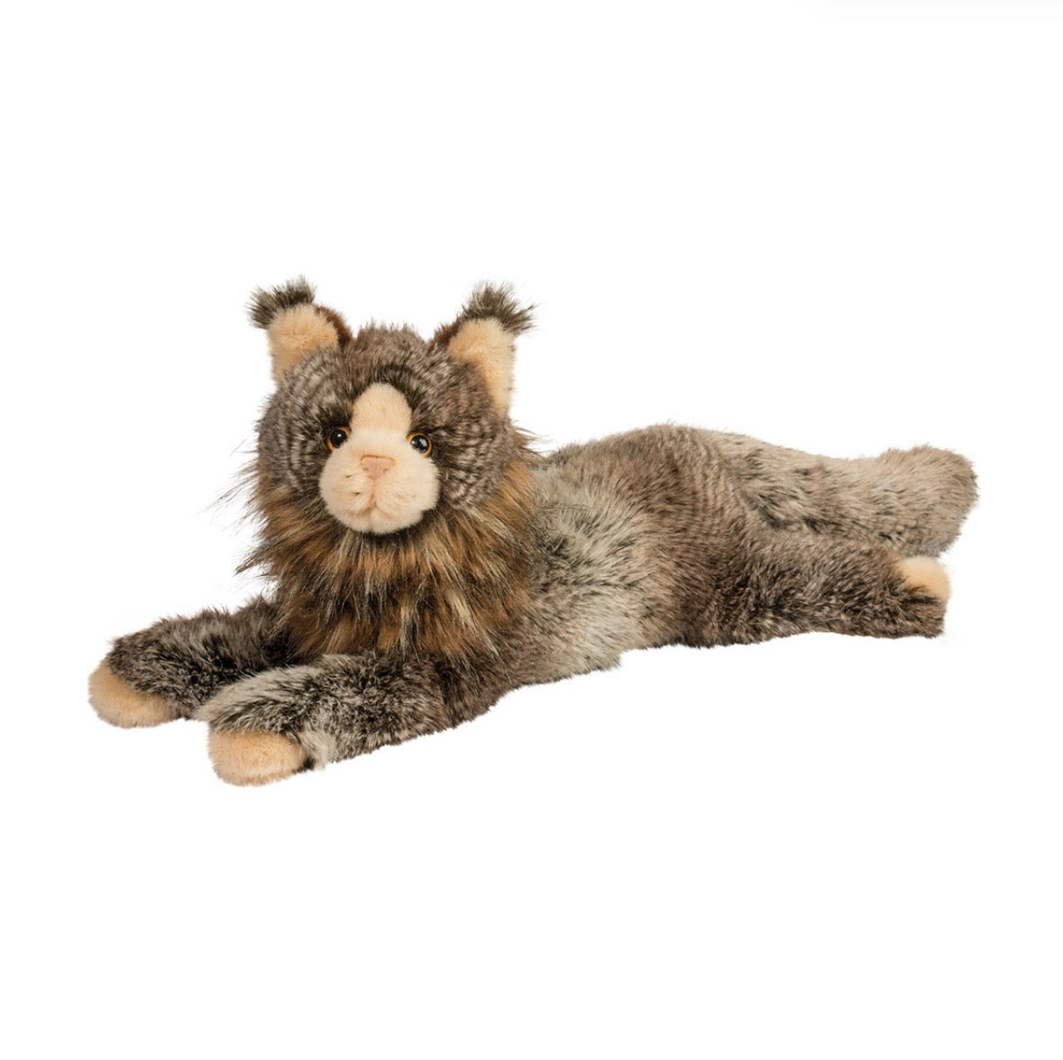 Oscar DLux Maine Coon