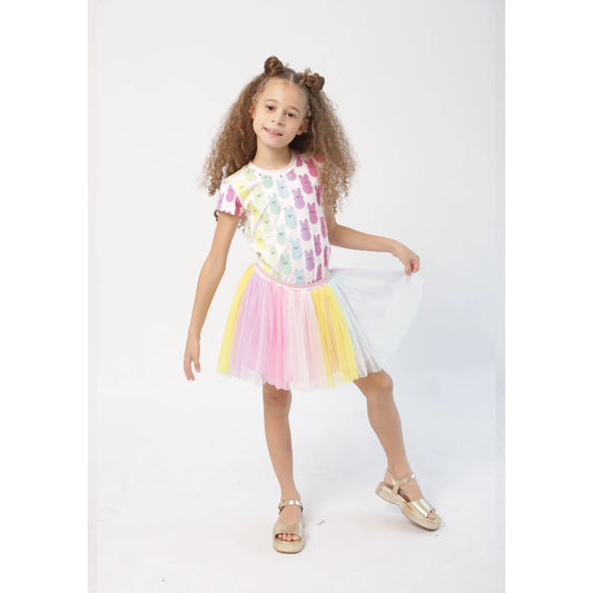 Pastel Multi Color Skirt