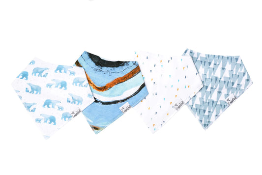 Arctic Bandana Bib Set