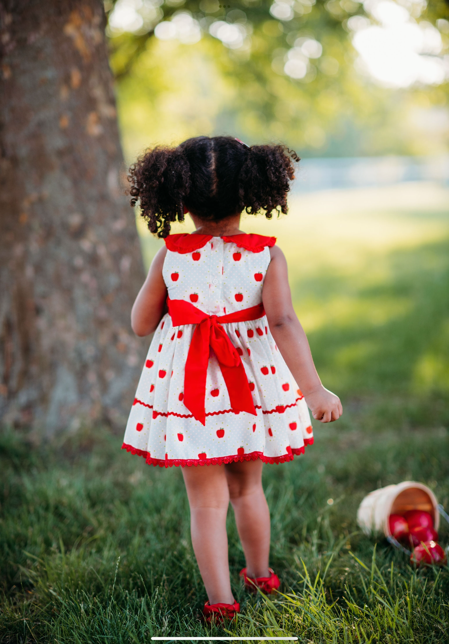 Isabella Dress - Apple of My Eye