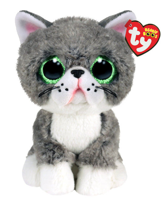 Ty Fergus the cat