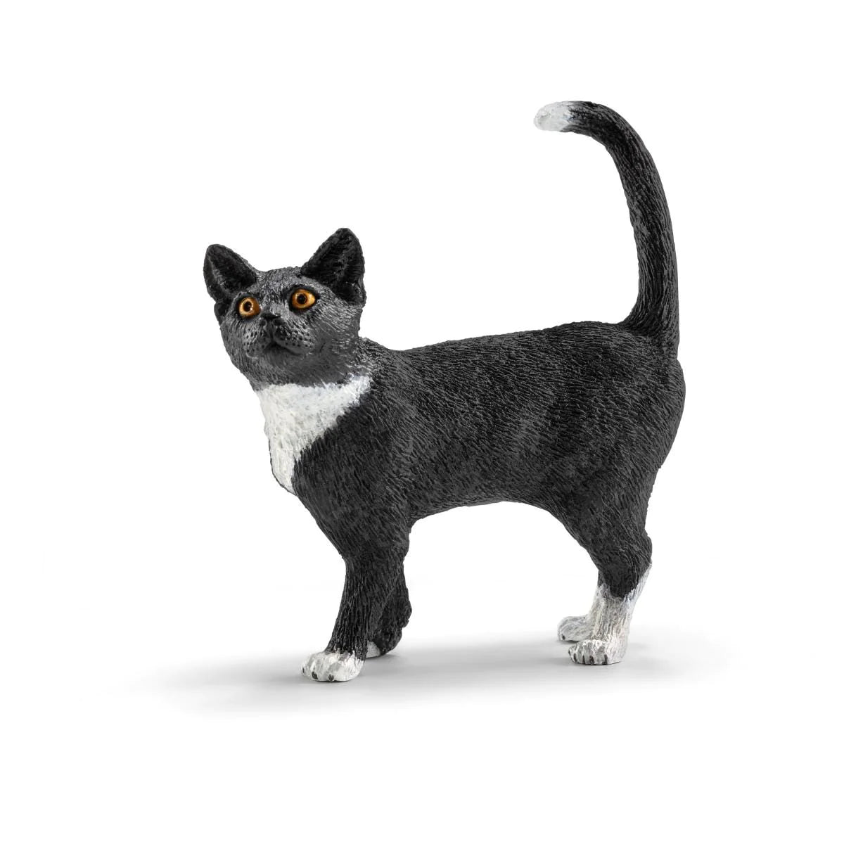 Black Cat
