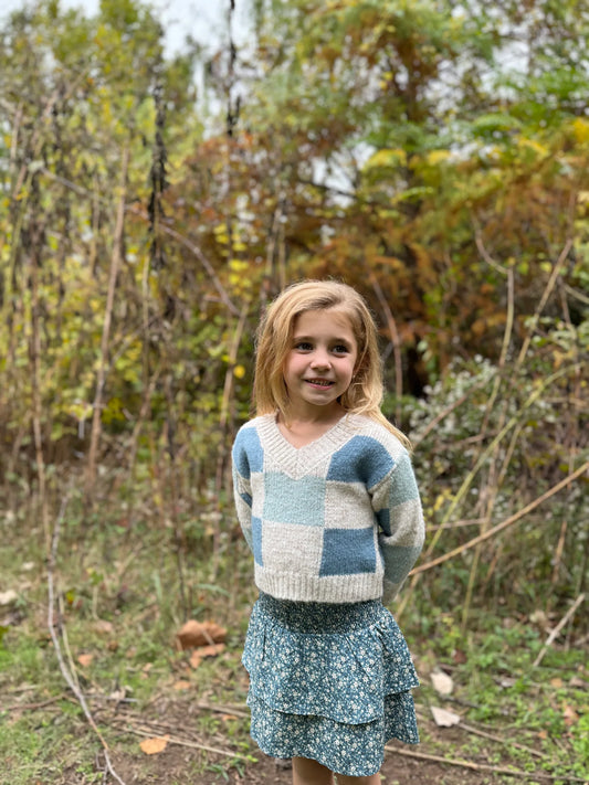 Blue Checker Jackie Sweater