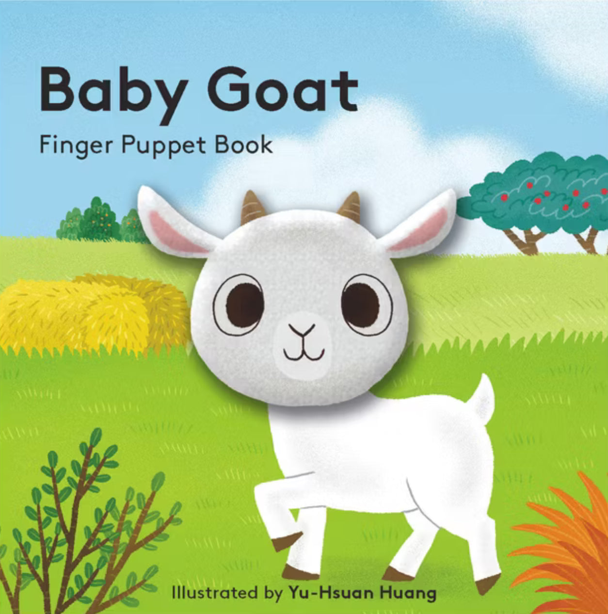 Baby Goat