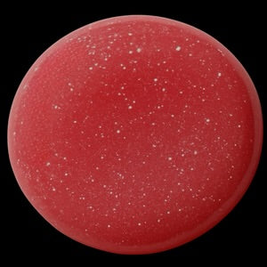 Shine Bright Natural Lip Gloss For Girls