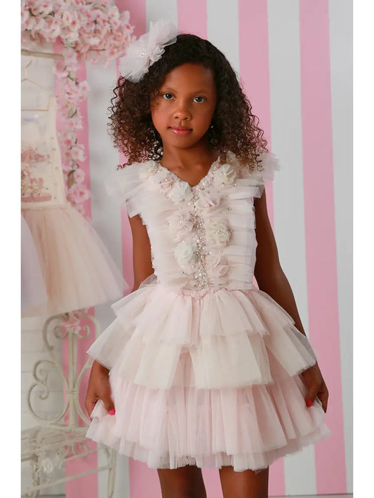 Phillipa Soft Pink/Blush/Ivory Dress