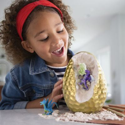 The BIG Egg Dragons