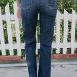 Paisley High Rise Striaght Fit Classic Jean
