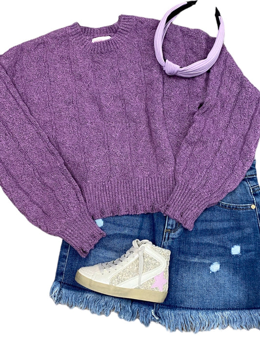 Purple Zest Long Sleeve Top