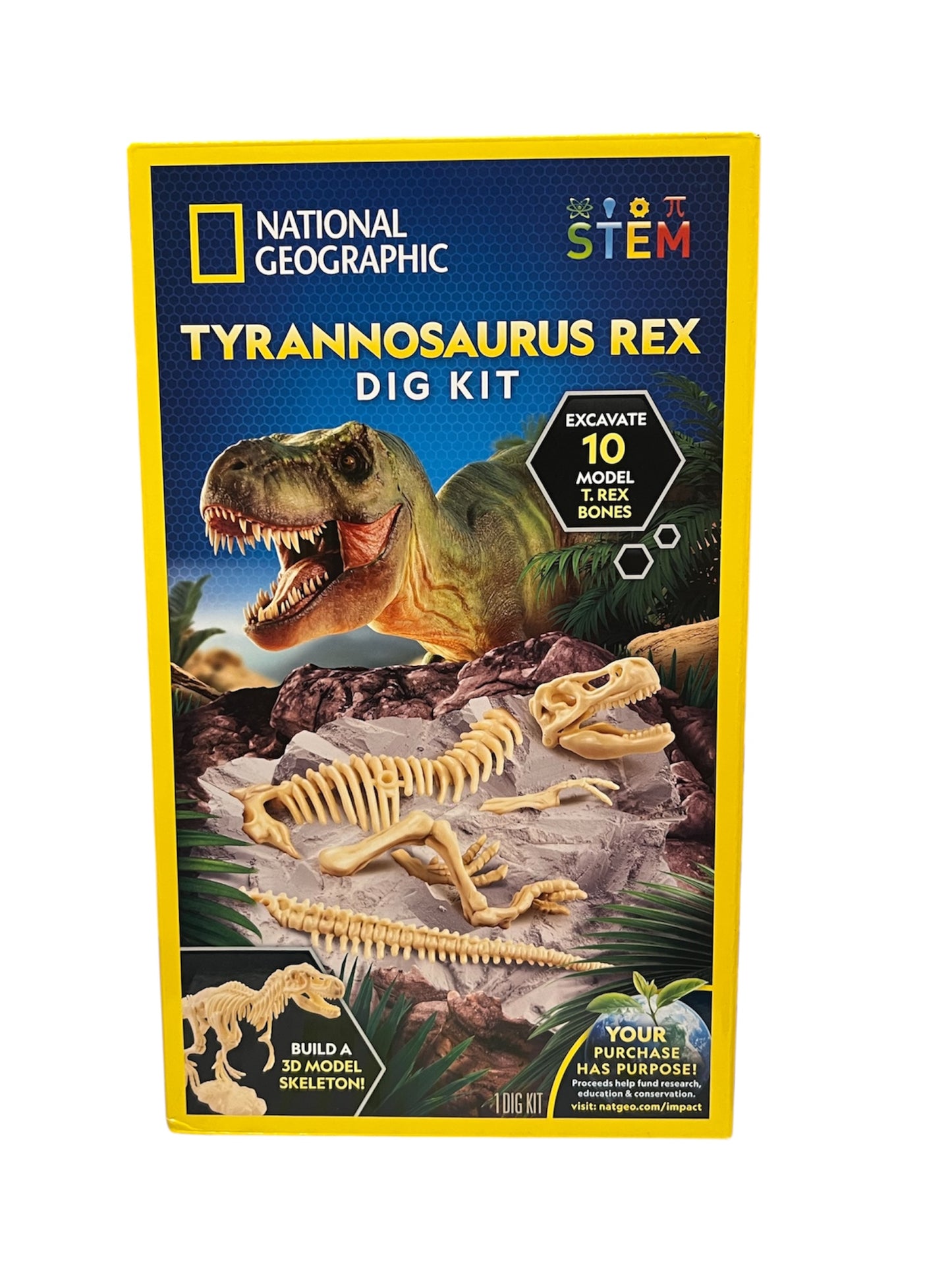 Tyrannosaurs Rex Dig Kit
