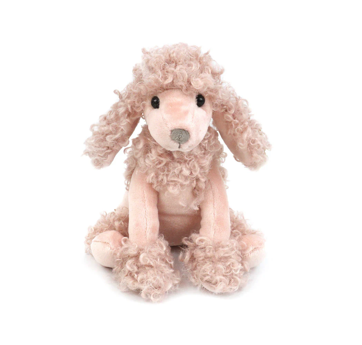Paris Poodle