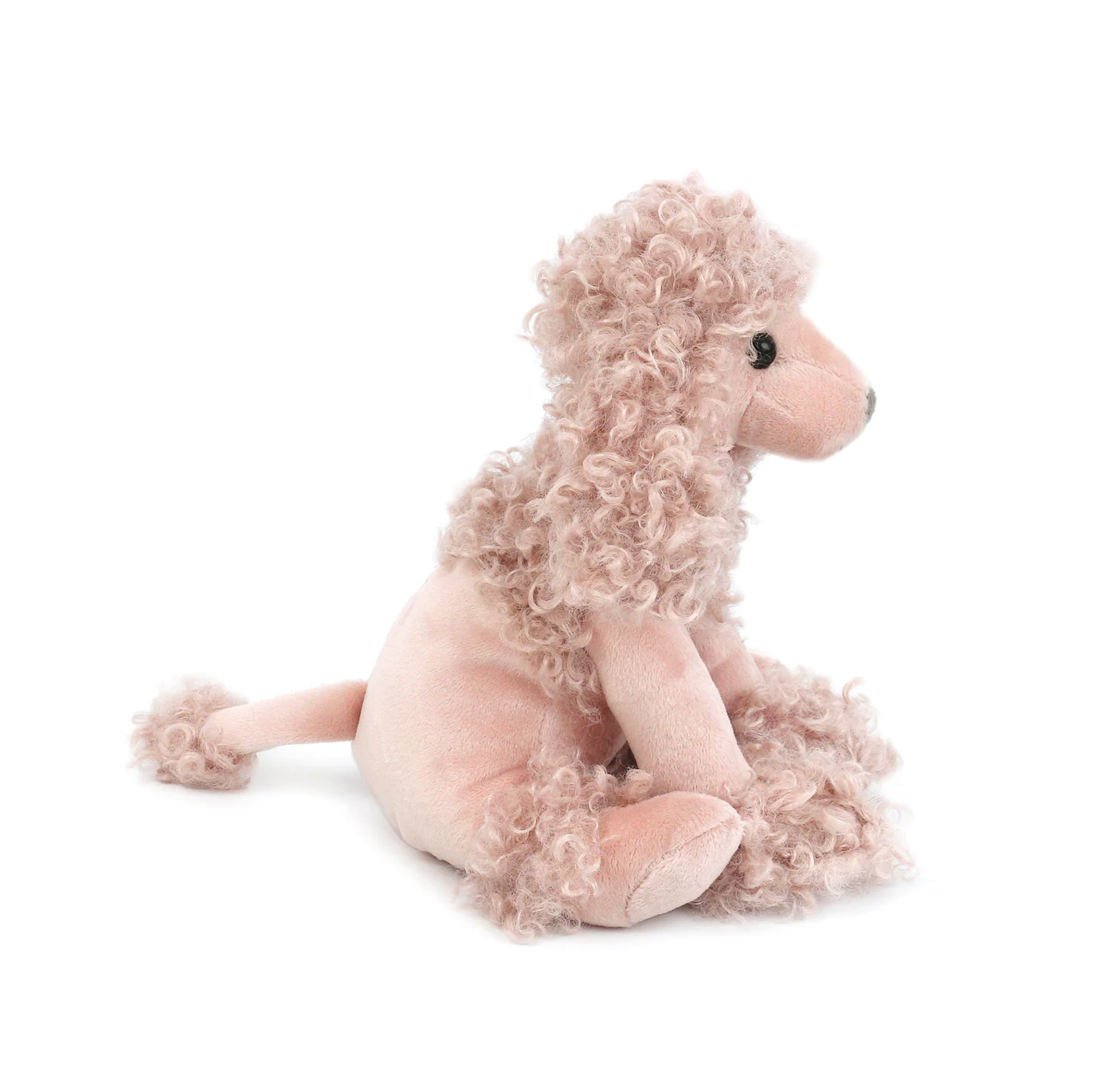 Paris Poodle