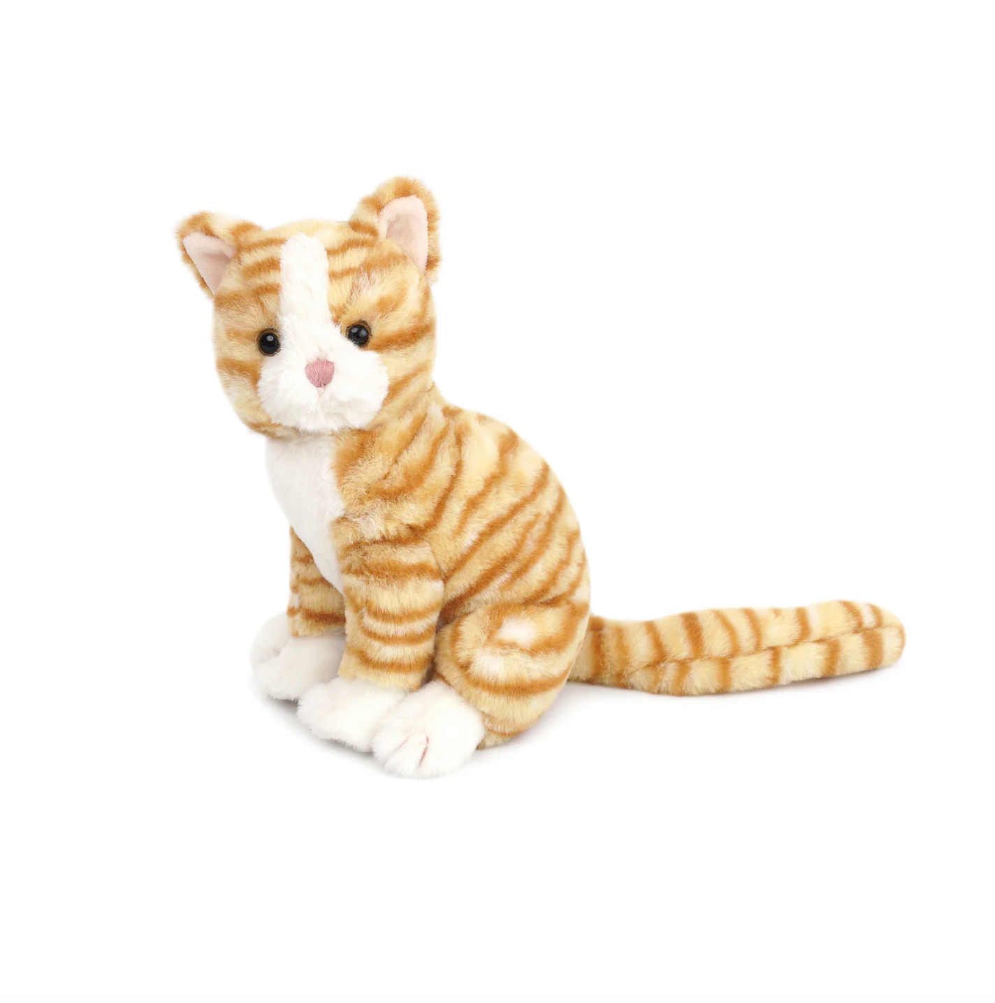 Chichi Kitty