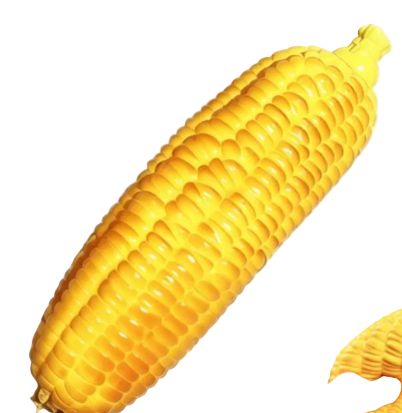Roasted Corn Crunchy Squishy