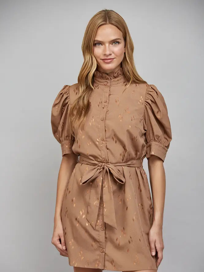 Ruffled High Neckline Button Front Self Tie Waist Dress