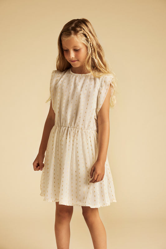 Lured Chiffon Dress