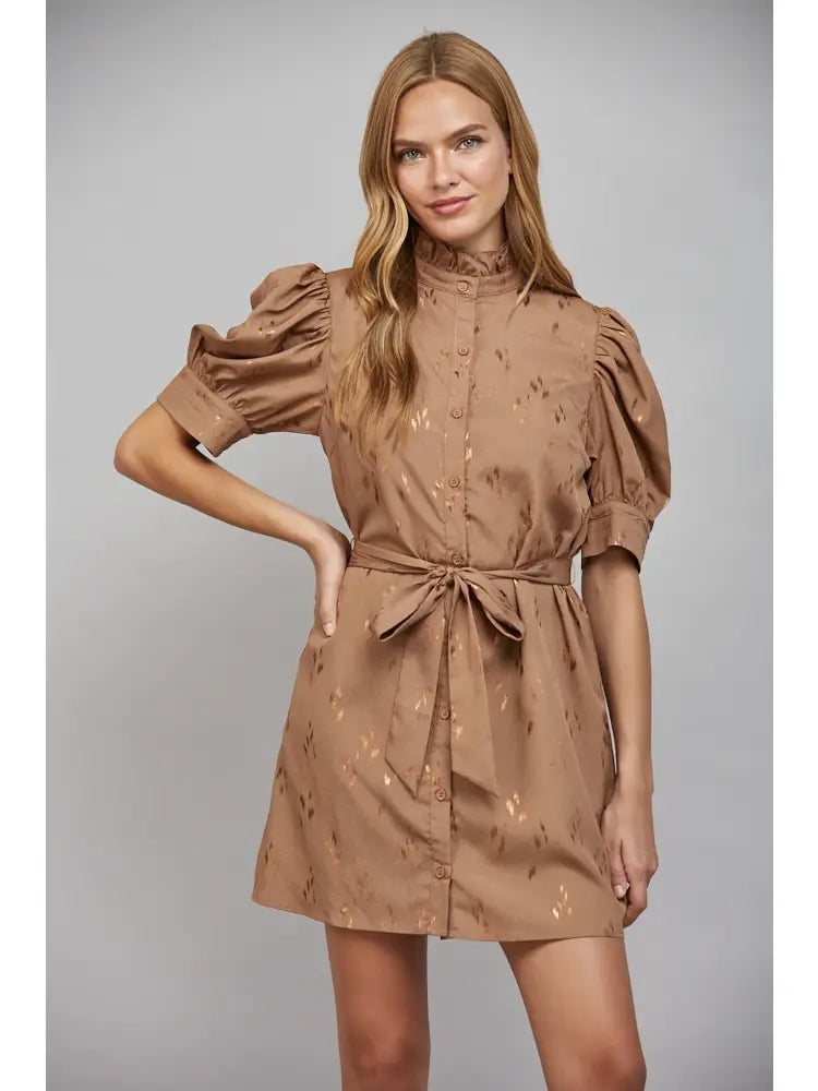 Ruffled High Neckline Button Front Self Tie Waist Dress