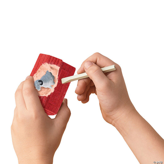 Dig It Up! Farm Discoveries