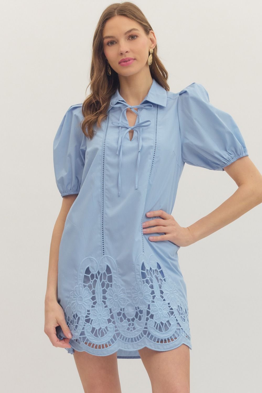 Chambray Puff Sleeve Mini Dress
