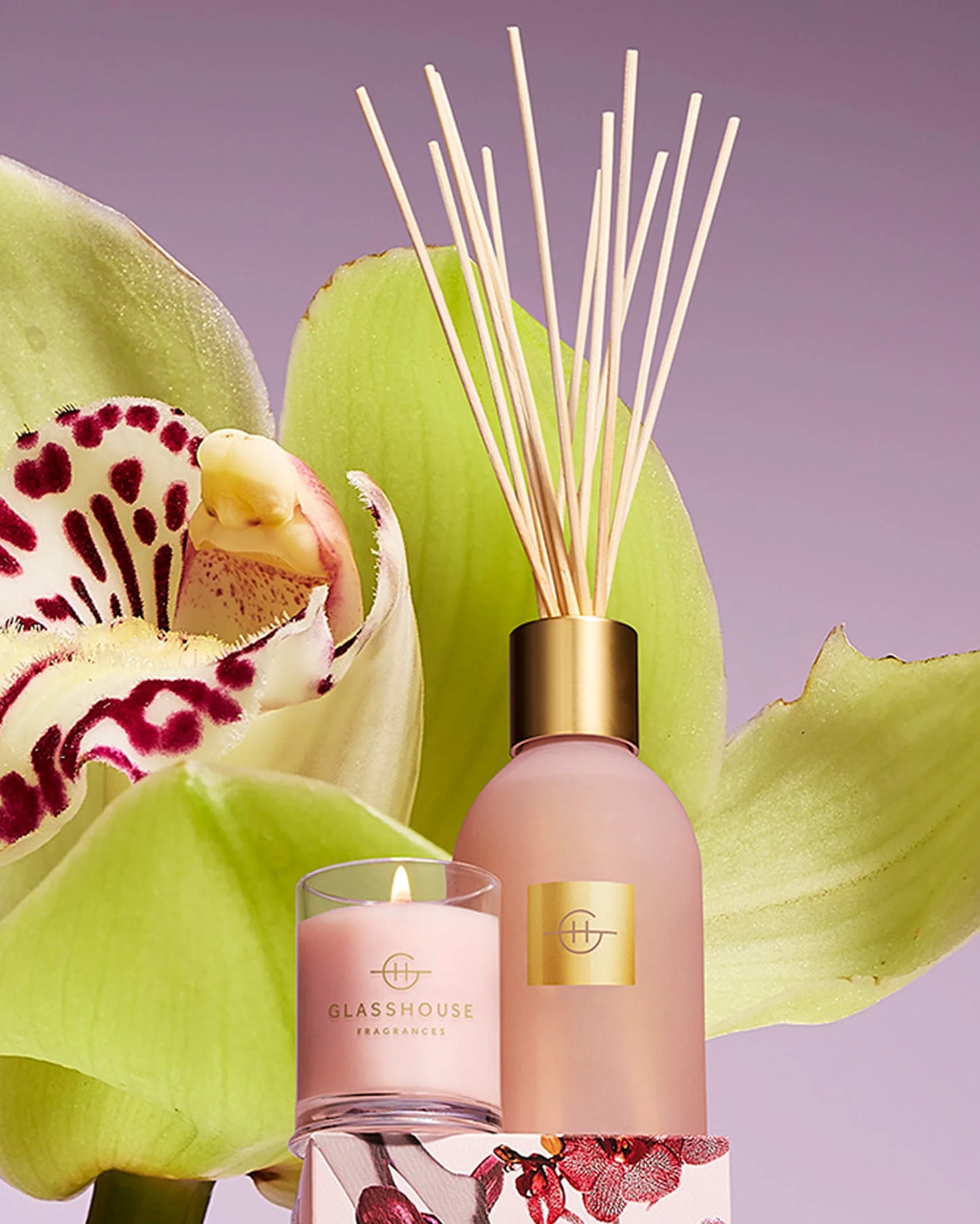 Radiance In Bloom 8.4 oz Diffuser