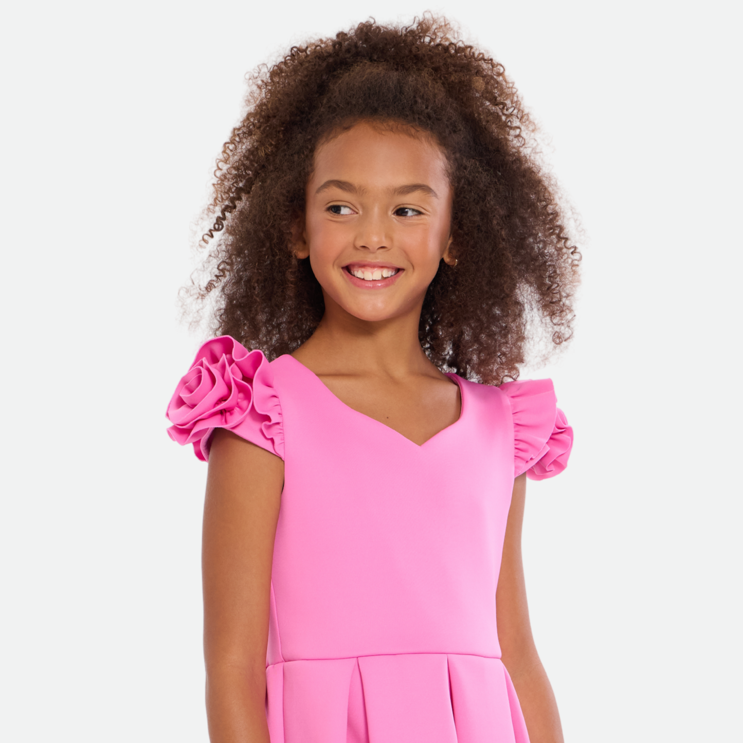 Isabella Rosette Skater Dress
